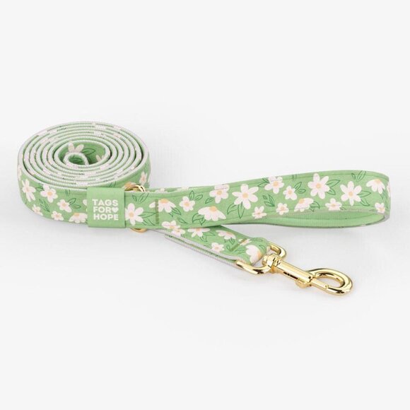 Tags For Hope Other - 🆕 Tags For Hope Morning Dew Hands Free 6’ 1” Gold Quick Handle Leash